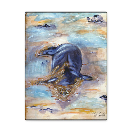 Sleepy Sea Lion Canvas Gallery Wrap