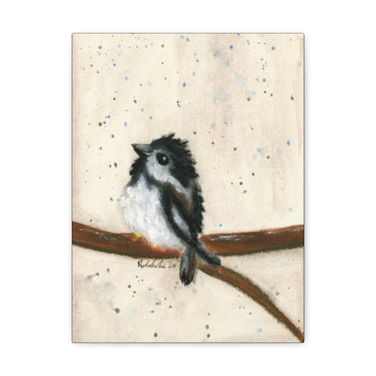 Black Finch Bird Canvas Gallery Wrap