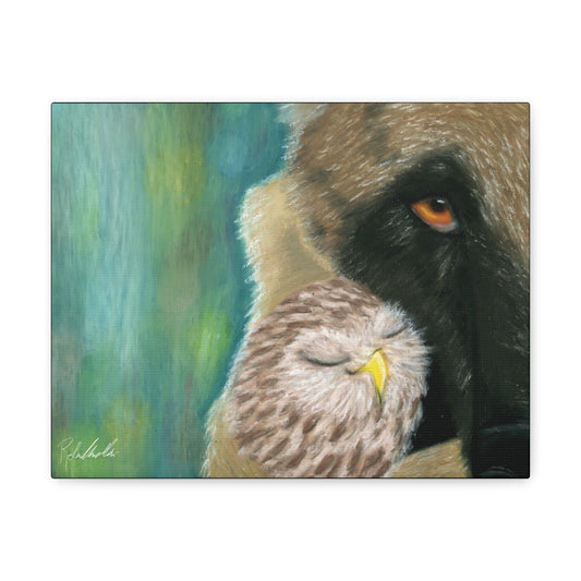 Dog and Owl Friends Canvas Gallery Wrap