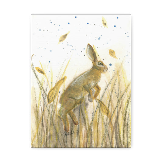 Rabbit in the field Canvas Gallery Wrap