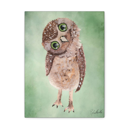 Curious Owl Canvas Gallery Wrap
