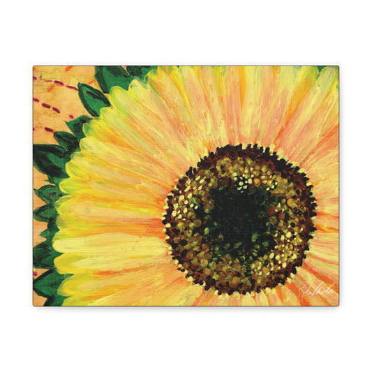 Sunflower Canvas Gallery Wrap
