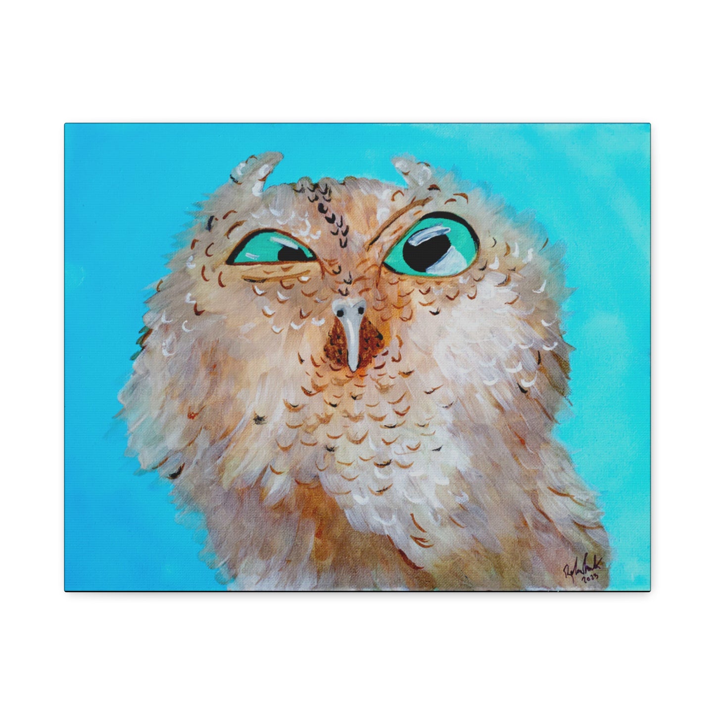 Grumpy Owl Canvas Gallery Wraps