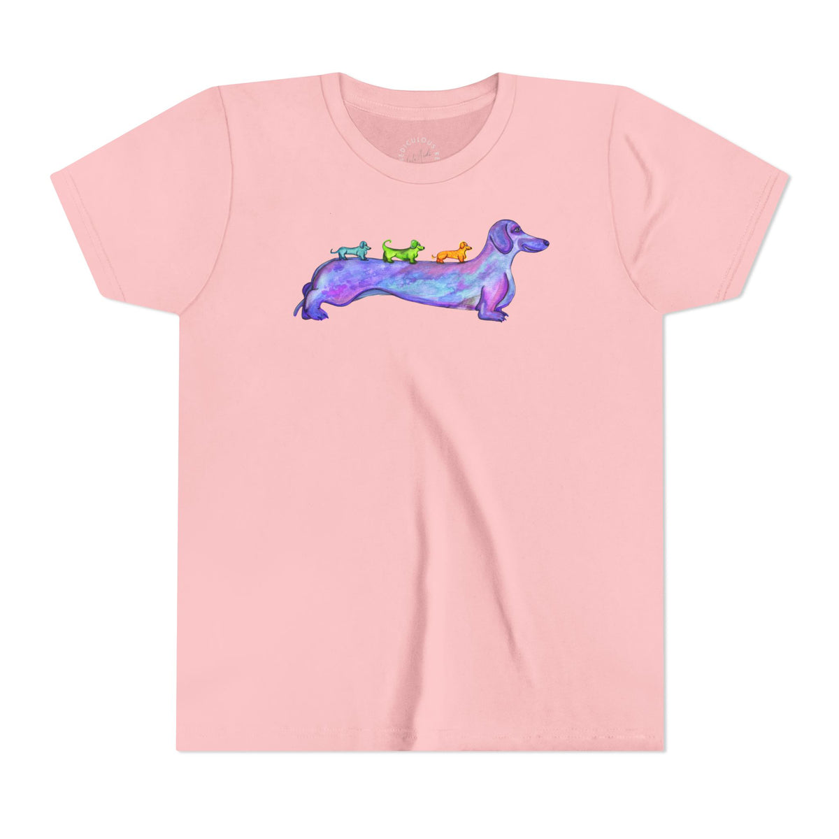 Dachshund Rainbow Crew Youth Tee
