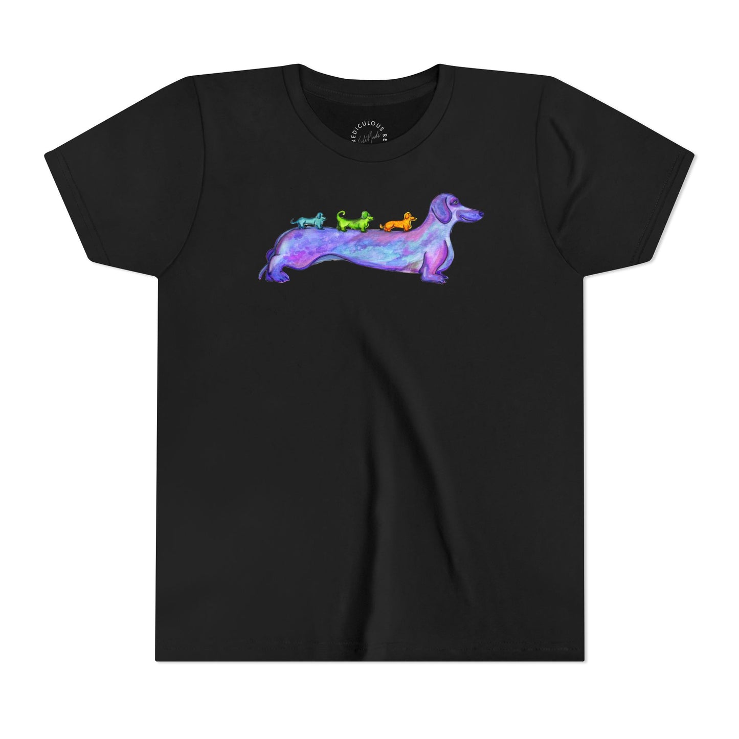 Dachshund Rainbow Crew Youth Tee