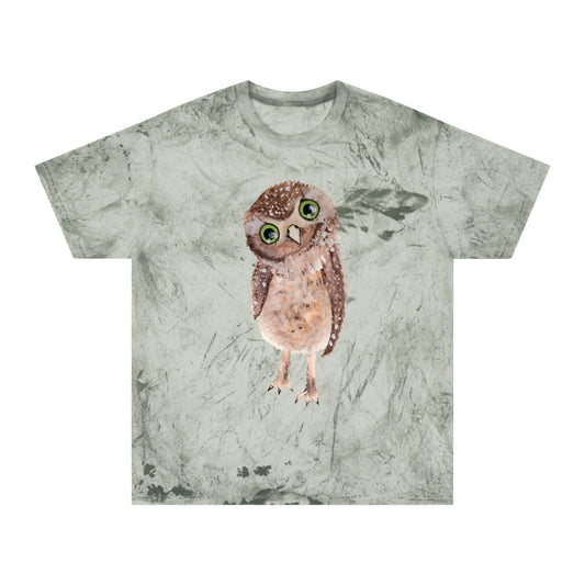 Owl Unisex Color Blast T-Shirt