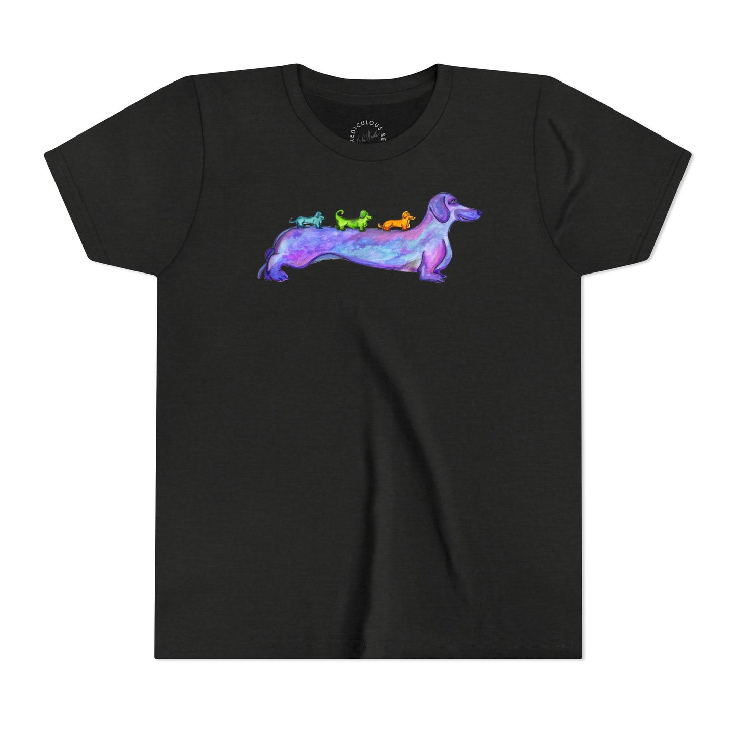 Dachshund Rainbow Crew Youth Tee