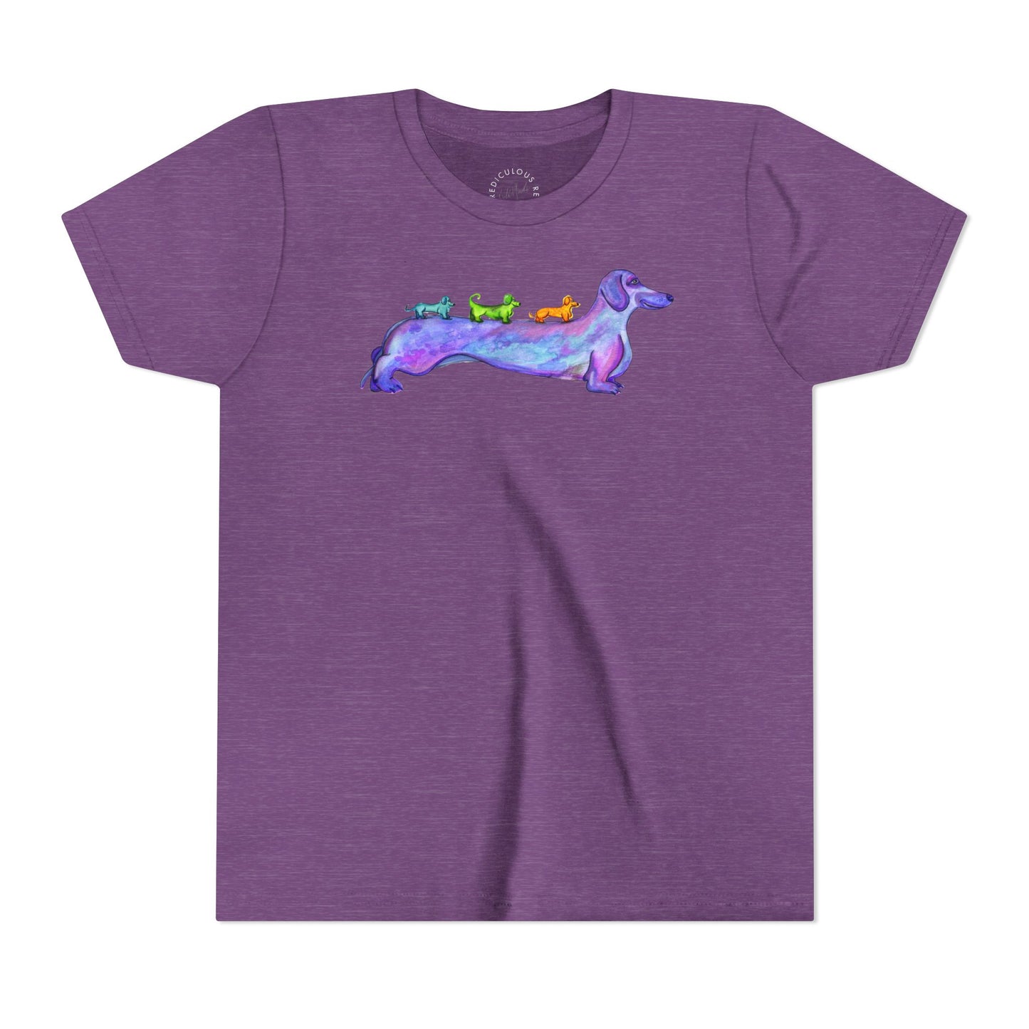 Dachshund Rainbow Crew Youth Tee