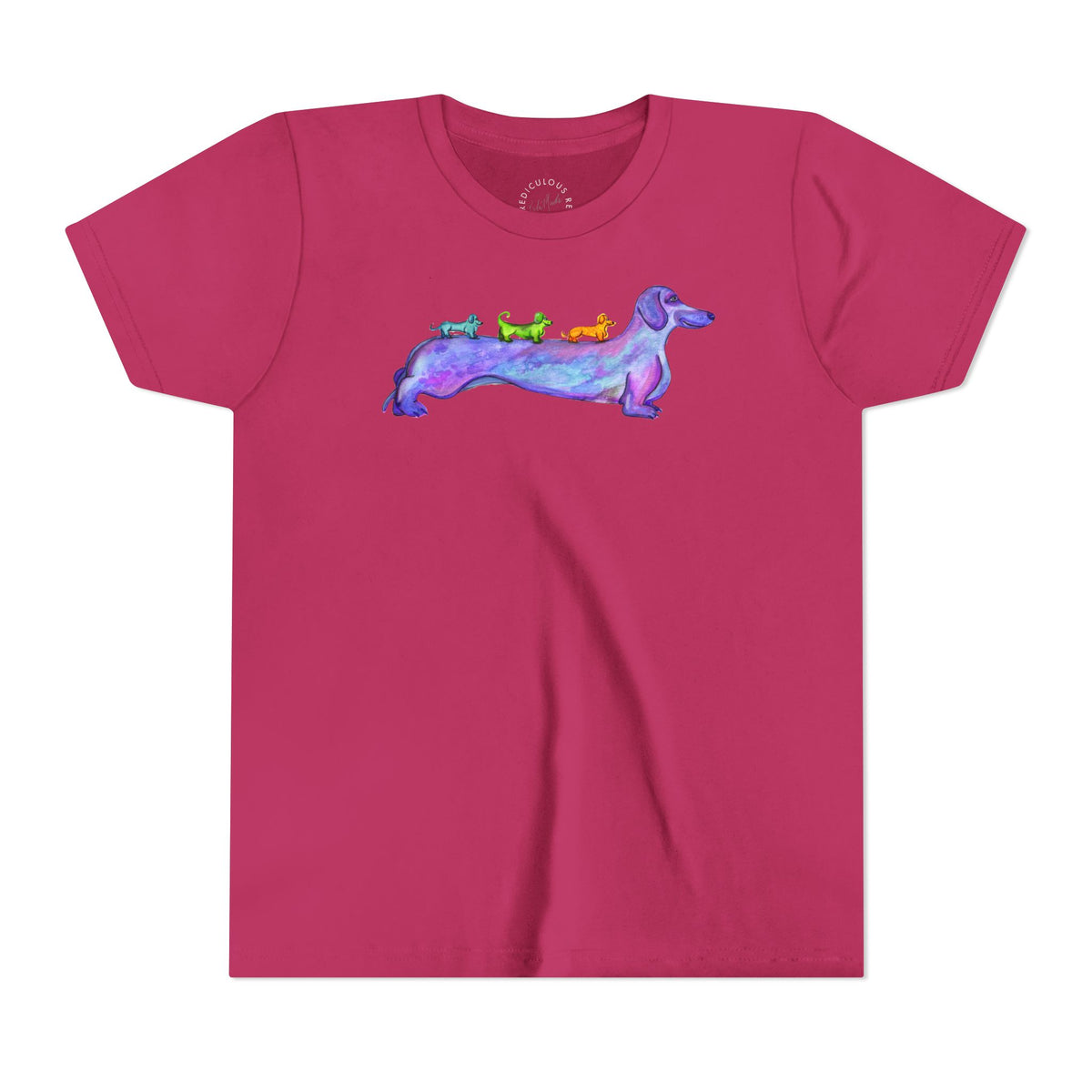 Dachshund Rainbow Crew Youth Tee
