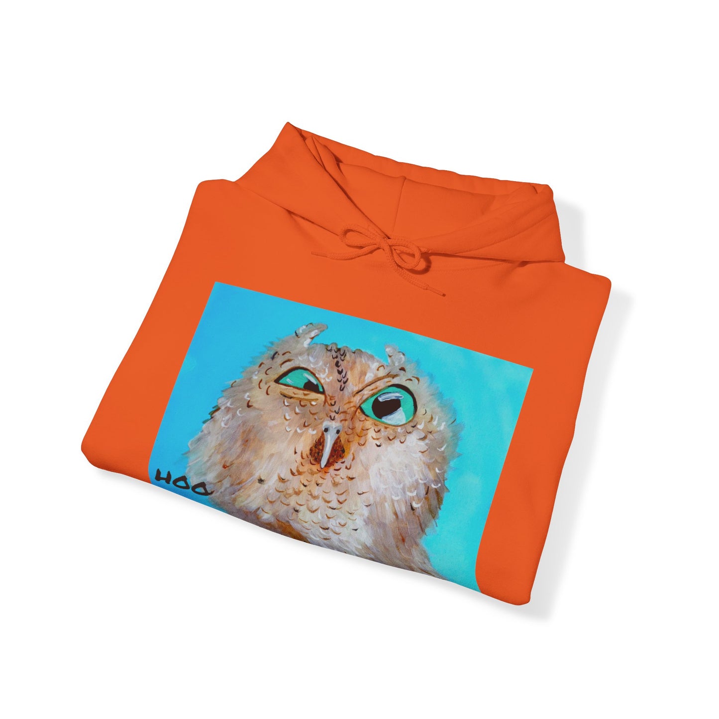 Grumpy Owl- Hoo You Lookin At? Sweatshirt- Additional Colors