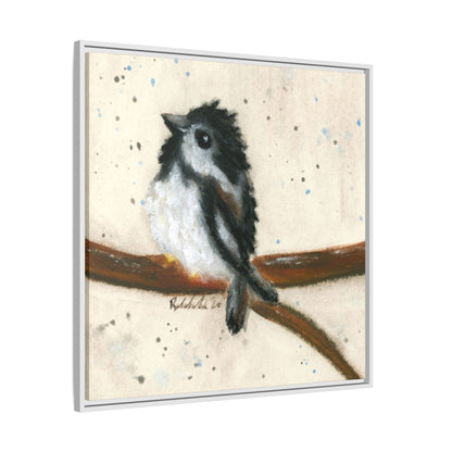 Black Finch Bird Framed Wall Art