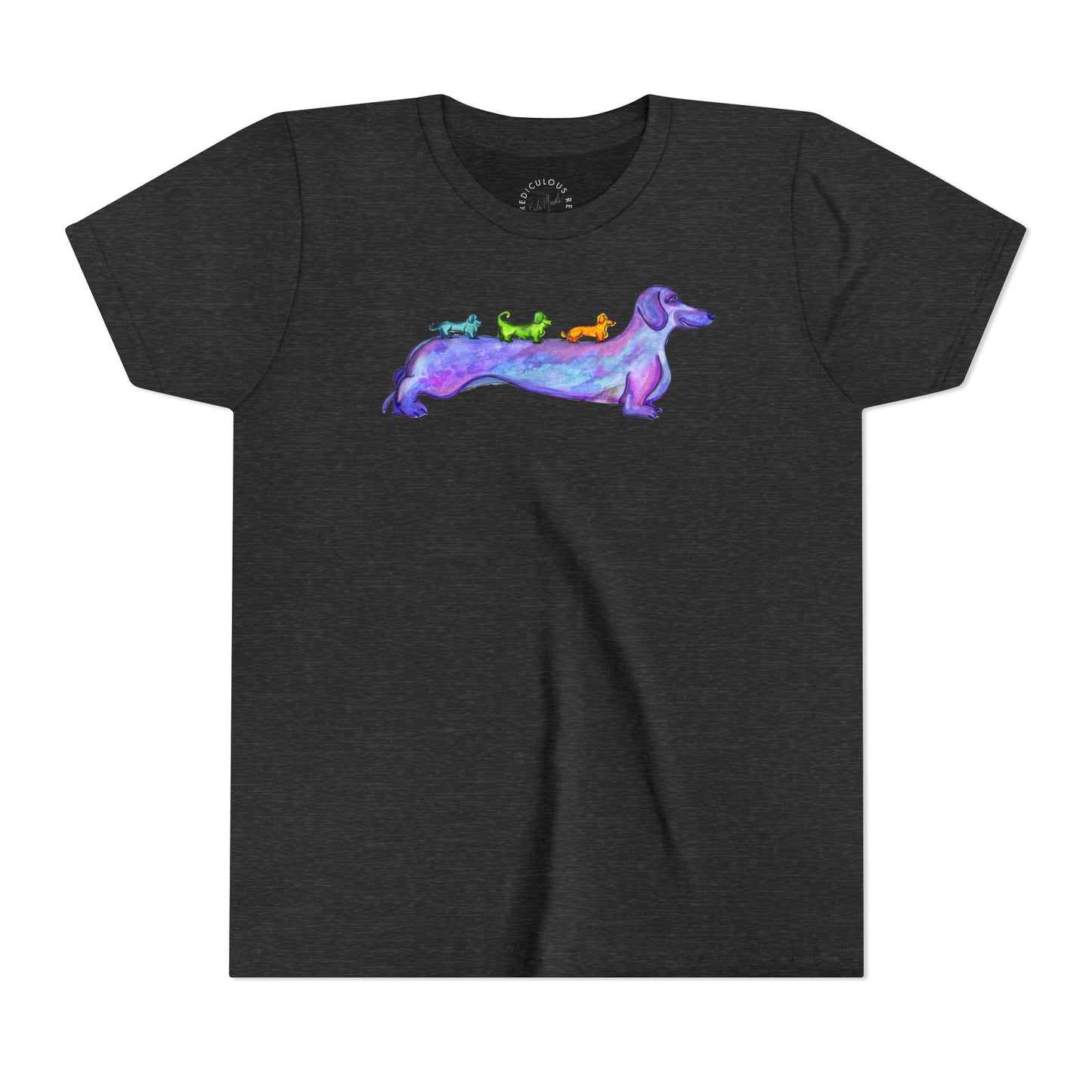 Dachshund Rainbow Crew Youth Tee