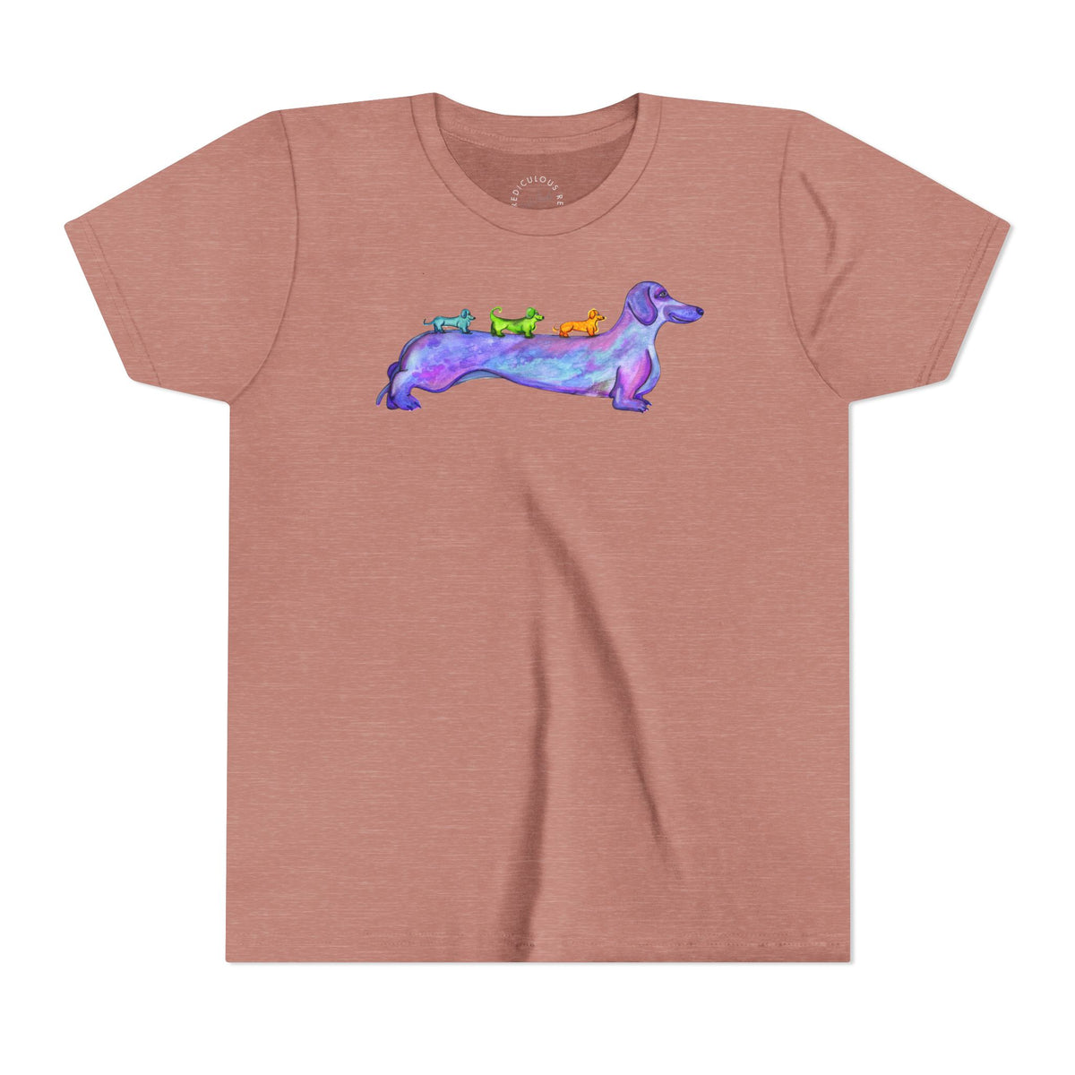 Dachshund Rainbow Crew Youth Tee
