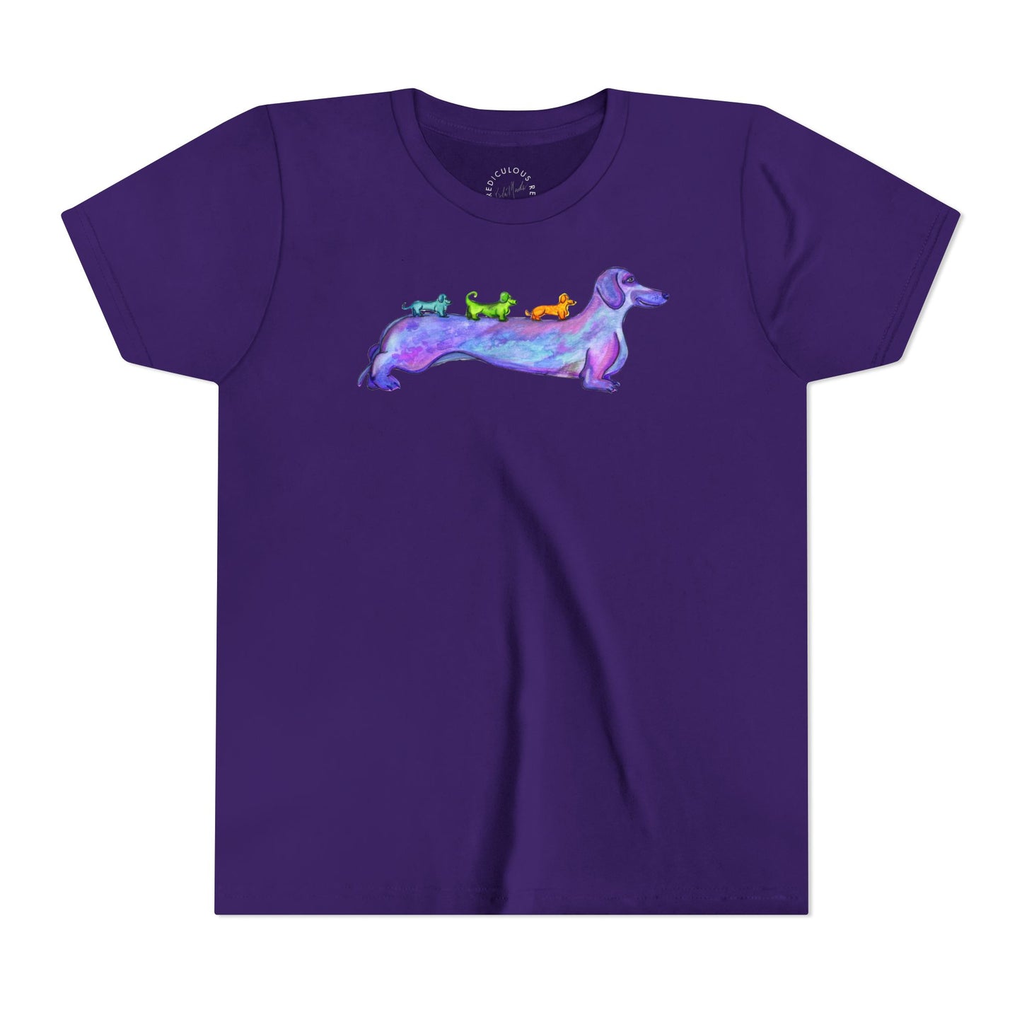 Dachshund Rainbow Crew Youth Tee