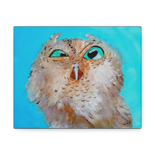 Grumpy Owl Canvas Gallery Wraps