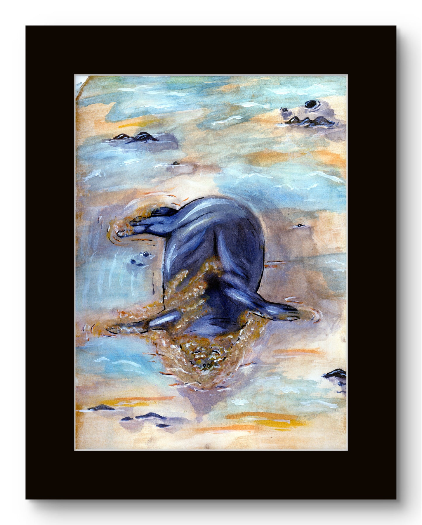 Seal Sleeping in Sand 8x10 Museum Grade Fine Art Print